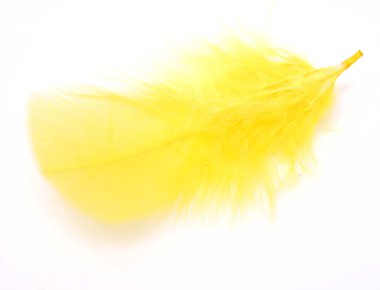 Yellow feather clipart