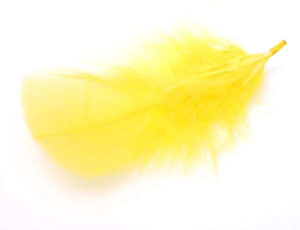 Yellow feather — Stock Photo, Image