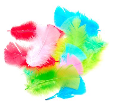 Feathers clipart