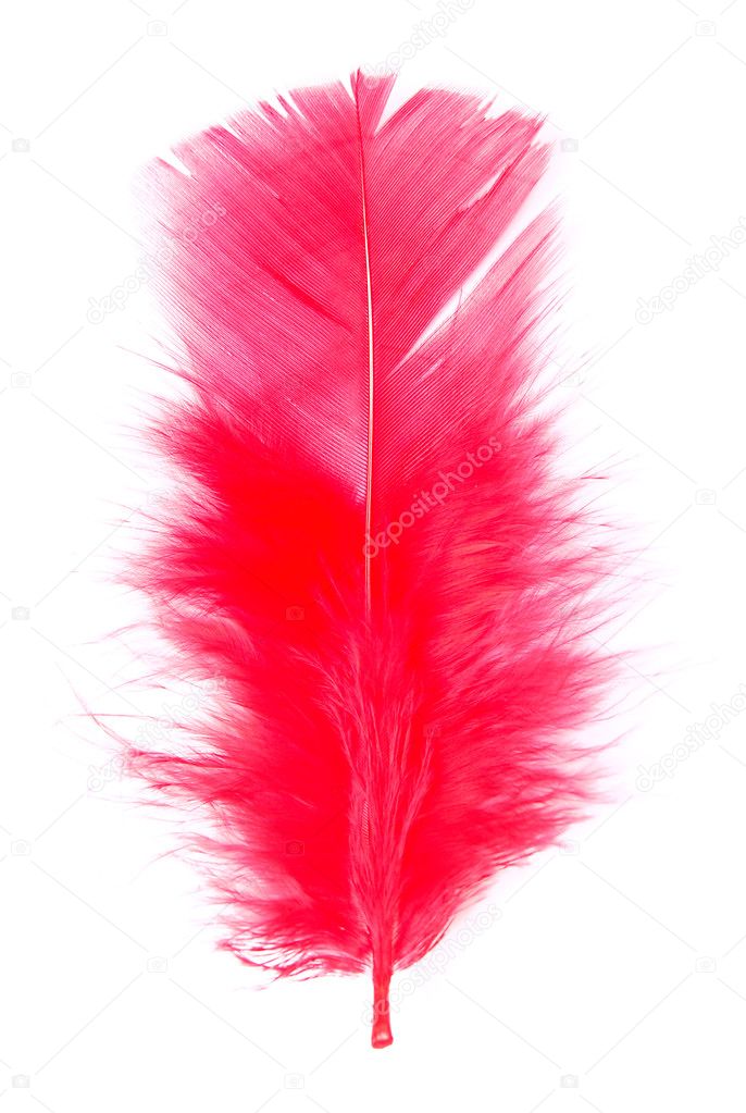 Red feather