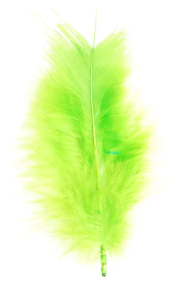 緑の羽 — ストック写真