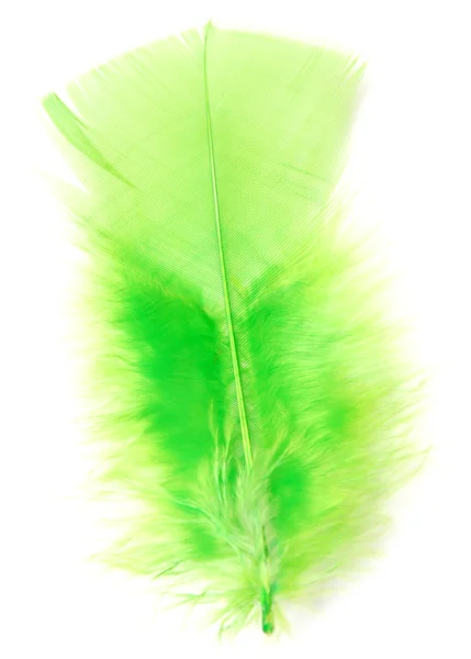 Piuma verde — Foto Stock