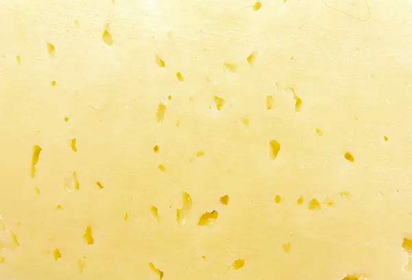 奶酪的背景 — 图库照片