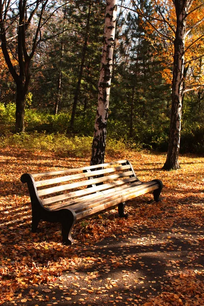 Doğa
