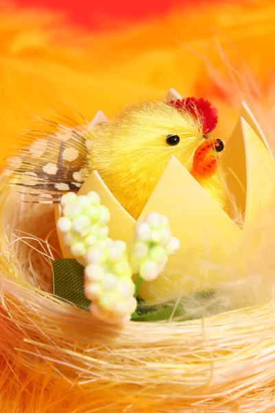 Chick in het nest — Stockfoto