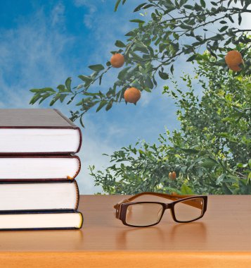 Eyeglasses and books clipart