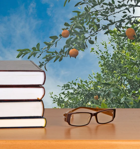 Glasögon och böcker — Stockfoto