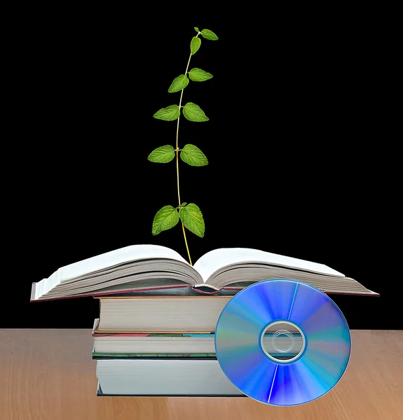 Pflanze wächst aus offenem Buch — Stockfoto