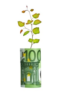 Tree growing from euro bill clipart