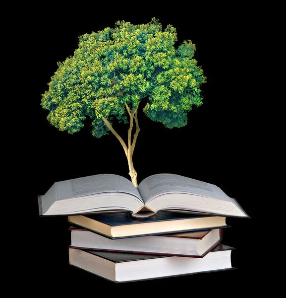 Дерево Растущее Открытой Книги — стоковое фото