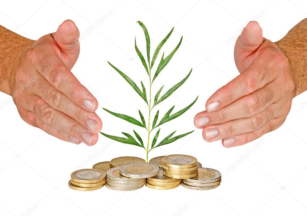 Hands protecting tree growing from pile of coins