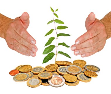 Hands protecting tree growing from pile of coins clipart