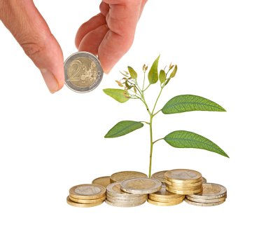 Tree growing from coins clipart