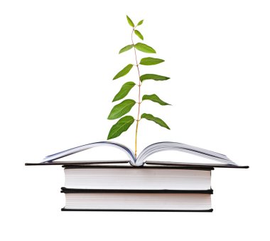 Açık kitap büyüyen bitki