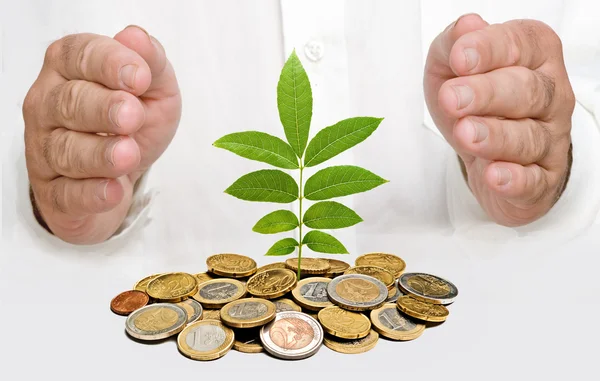 Händer skydda träd växer från högen av mynt — Stockfoto
