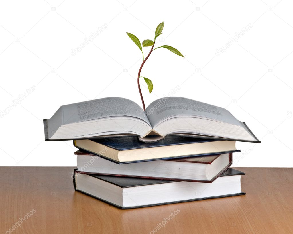 Tree growing from a book