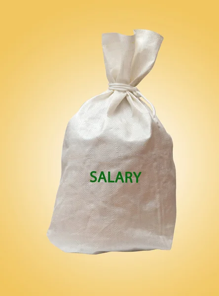 Bag Salary — Stock Photo, Image