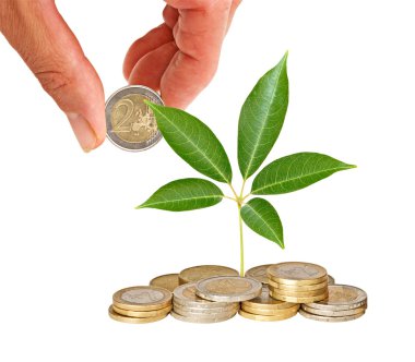 Tree growing from coins clipart