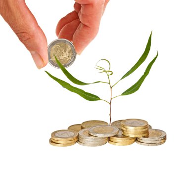 Tree growing from coins clipart