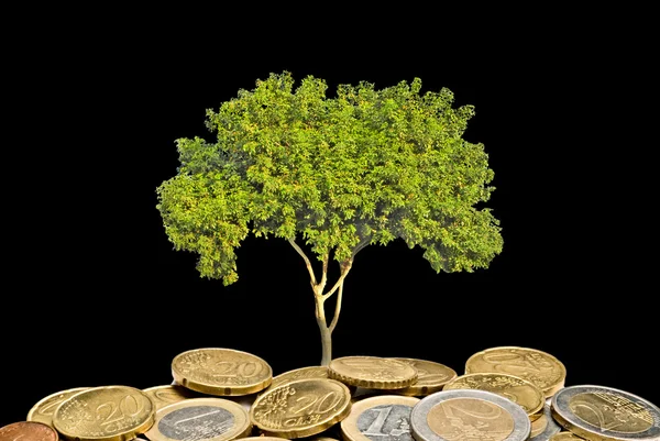 Drzewo rośnie od kupie monety — Zdjęcie stockowe