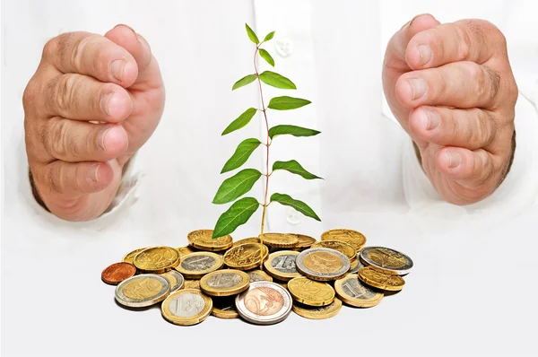 Palms protecting a plant growng from pile of coins — Stock Photo, Image