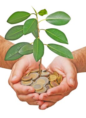 Palms with a tree growng from pile of coins clipart