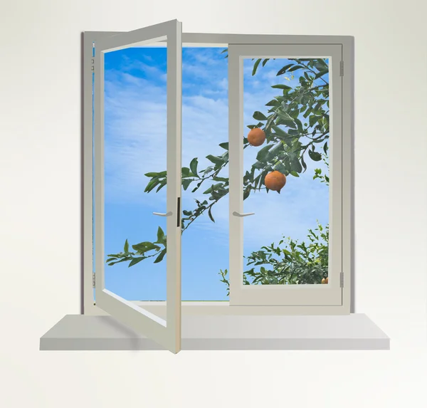 Tangerines Window — Stock Photo, Image