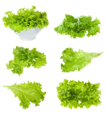Set with lettuce salad