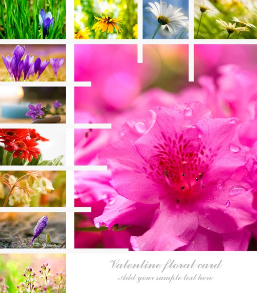 Valentijn bloemen collage — Stockfoto