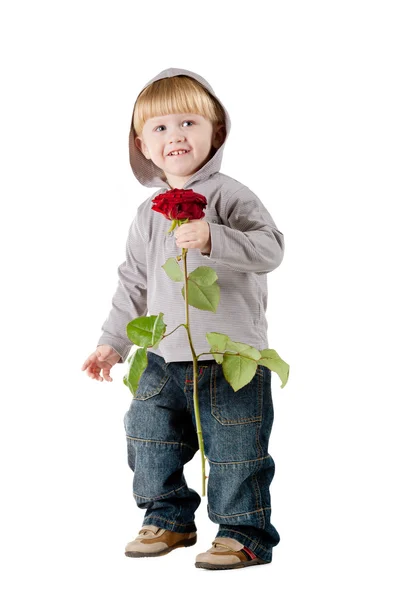 分離された赤いバラと小さな美しい男の子 — ストック写真