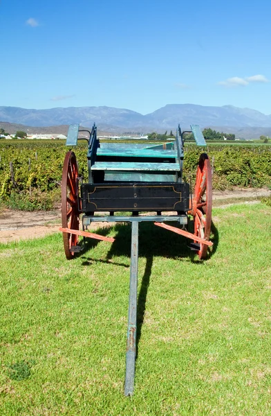 Horse cart in the winelands — Stock Photo, Image