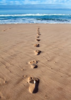voetafdrukken met veer in nat zand in een lijn richting de zee en breakers