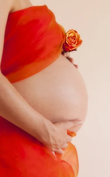 Pregnant woman holding orange rose in front of tummy — Stock Photo, Image