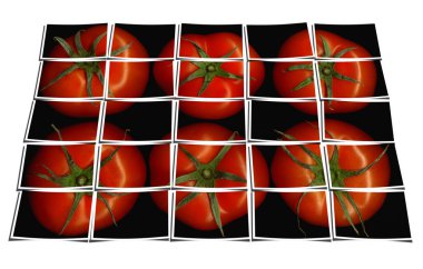 Tomato puzzle collage clipart