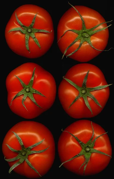 Шесть помидоров на черном — стоковое фото