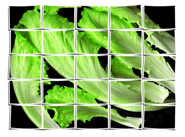 Colagem de folhas de alface — Fotografia de Stock