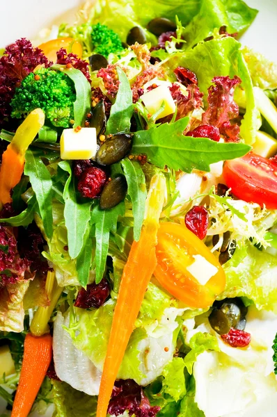 Salada Legumes Misturados Frescos Extremo Close Comida Muito Saudável — Fotografia de Stock