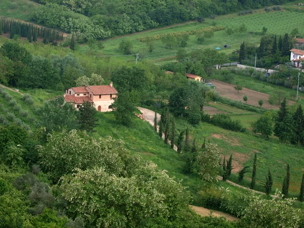 Willa w Toskanii wśród gajów oliwnych — Zdjęcie stockowe