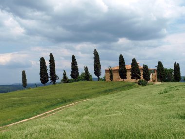 The landscape of the Val d'Orcia. Tuscany. Italiy clipart