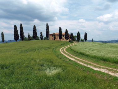 het landschap van de val d orcia. Toscane. Italië