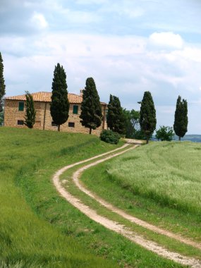 het landschap van de val d orcia. Toscane. Italië