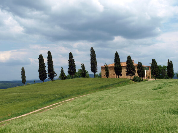 The landscape of the Val d'Orcia. Tuscany. Italiy