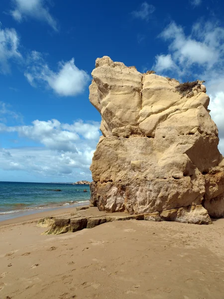 Części malowniczej plaży praia de Rocha — Zdjęcie stockowe