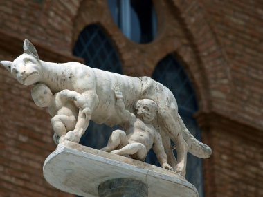 Siena - duomo cephe önünde dişi kurt ile sütun