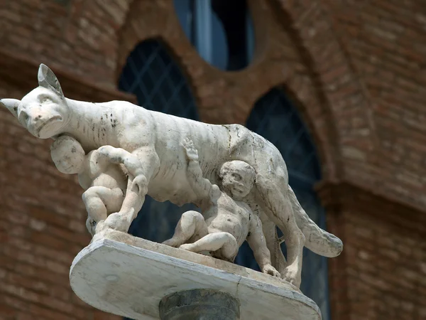 Siena - kolumn med hon-wolfen framför duomo fasaden — Stockfoto