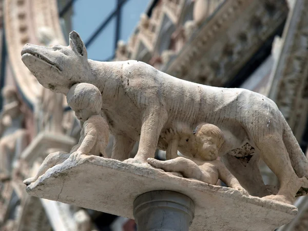 Siena - kolumn med hon-wolfen framför duomo fasaden — Stockfoto