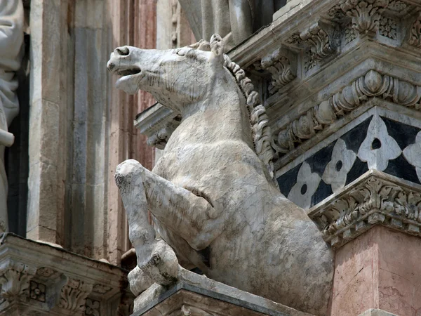 Architectural details of Duomo facade - Siena, — Stock Photo, Image