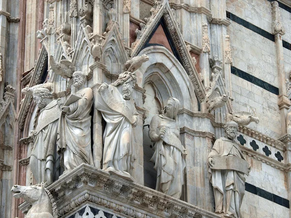 Architectural details of Duomo facade - Siena — Stock Photo, Image