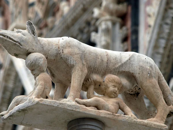 Siena - sloupec s vlkem před průčelím dómu — Stock fotografie