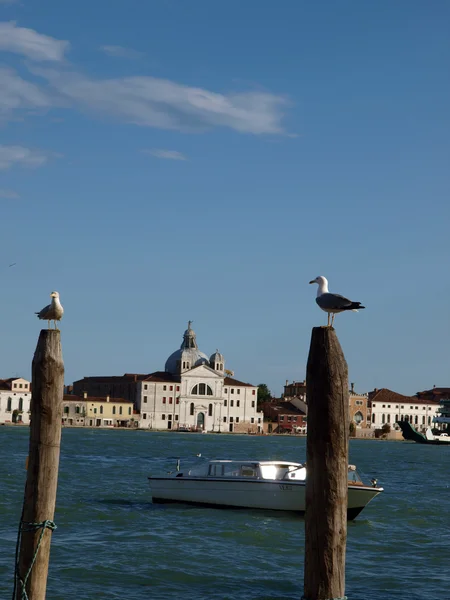 Венеция - Изысканные старинные здания вдоль канала Сан-Марко — стоковое фото
